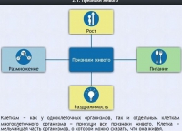 Интерактивные курсы. Биология 5 класс. Базовый - fgospostavki.ru - Чита