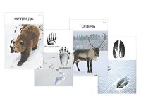 Комплект дидактических карточек "Следы на снегу" - fgospostavki.ru - Чита