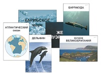 Модель-аппликация "Океаны. Знакомство" (ламинированная) - fgospostavki.ru - Чита