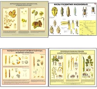 Плакаты ПРОФТЕХ "Вредители и болезни с/х культур и меры борьбы с ними" (11 пл, винил, 70х100) - fgospostavki.ru - Чита