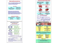 Плакаты ПРОФТЕХ "Классификации и виды мяса" (4 пл, винил, 70х100) - fgospostavki.ru - Чита