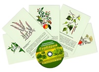Интерактивный наглядный комплекс "Гербарий "Для начальной школы" - fgospostavki.ru - Чита