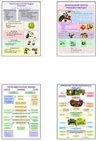 Плакаты ПРОФТЕХ "Классификация овощей и переработка" (8 пл, винил, 70х100) - fgospostavki.ru - Чита