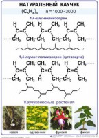 Комплект демонстрационных таблиц по химии "Полимеры" (комплект 12 таблиц) - fgospostavki.ru - Чита