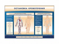 Электрифицированный стенд-тренажер "Остановка кровотечения" - fgospostavki.ru - Чита