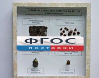 Коллекция энтомологическая "Примеры защитных приспособлений у насекомых" - fgospostavki.ru - Чита