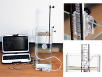 Набор демонстрационный «Гидростатика и плавание тел» - fgospostavki.ru - Чита