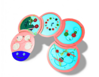 Тактильно-развивающая панель «Гусеница» - fgospostavki.ru - Чита