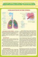 Стенд "Дыхательная система" - fgospostavki.ru - Чита
