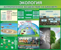 Стенд "Экология. Антропогенное воздействие на биосферу" - fgospostavki.ru - Чита