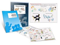 Комплект кодотранспарантов "Опасные животные" - fgospostavki.ru - Чита