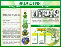 Стенд "Экология" - fgospostavki.ru - Чита