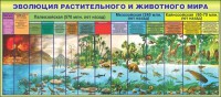 Стенд "Эволюция растительного и животного мира" - fgospostavki.ru - Чита