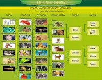 Стенд "Систематика животных" - fgospostavki.ru - Чита