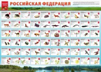 Стенд "Красная книга РФ" - fgospostavki.ru - Чита