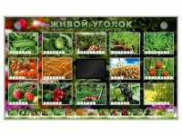 Комплект оборудования "Живой уголок" (растения) - fgospostavki.ru - Чита