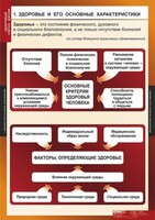 Комплект таблиц. ОБЖ. Здоровый образ жизни. - fgospostavki.ru - Чита
