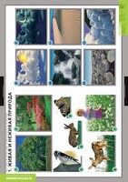 Комплект таблиц. Окружающий мир. Летние и осенние изменения в природе. - fgospostavki.ru - Чита