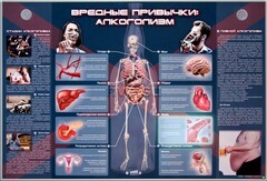 Электрифицированный стенд "Вредные привычки: алкоголизм" - fgospostavki.ru - Чита
