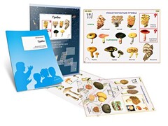 Комплект кодотранспарантов "Грибы" - fgospostavki.ru - Чита