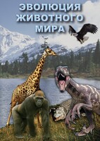 DVD "Эволюция животного мира" - fgospostavki.ru - Чита