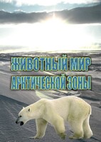 DVD "Животный мир Арктической зоны" - fgospostavki.ru - Чита
