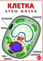 DVD "Клетка - "атом жизни" - fgospostavki.ru - Чита