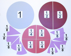 Набор магнитных карточек "Доли и дроби - 1" - fgospostavki.ru - Чита