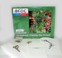 Гербарий "Основные группы растений" (52 листа) - fgospostavki.ru - Чита