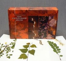 Гербарий для Начальной школы (28 видов) - fgospostavki.ru - Чита