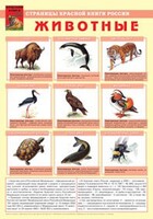 Комплект плакатов "Красная Книга России (животные, растения)" - fgospostavki.ru - Чита
