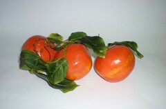 Ветка муляжей "Гранат" - fgospostavki.ru - Чита