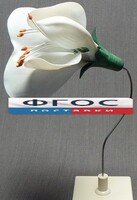 Модель "Цветок гороха" - fgospostavki.ru - Чита