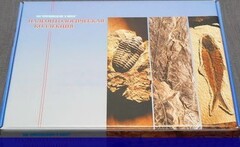 Коллекция "Палеонтологическая" (16 образцов) - fgospostavki.ru - Чита