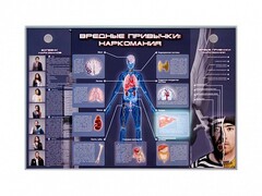 Электрифицированный стенд "Вредные привычки: наркомания" - fgospostavki.ru - Чита