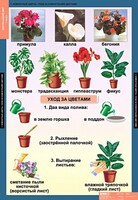 Комплект таблиц. Окружающий мир 1 класс. - fgospostavki.ru - Чита