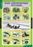 Комплект таблиц. Окружающий мир 4 класс. - fgospostavki.ru - Чита