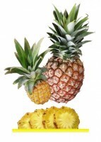 Комплект карточек "Запоминай, играй, считай" - Фрукты - fgospostavki.ru - Чита