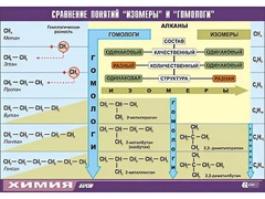 Таблица демонстрационная "Сравнение понятий изомер и гомолог" (винил 70x100) - fgospostavki.ru - Чита