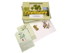 Гербарий "Для начальной школы" (30 видов, с иллюстрациями) - fgospostavki.ru - Чита