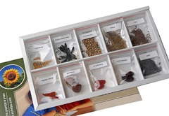 Коллекция "Плоды сельскохозяйственных растений" - fgospostavki.ru - Чита