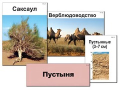 Модель-аппликация "Природные зоны России" (ламинированная) - fgospostavki.ru - Чита