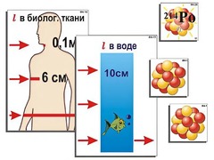 Модель-аппликация "Явление радиоактивности" (ламинированная) - fgospostavki.ru - Чита
