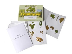 Гербарий "Морфология растений" (6 тем, 30 видов) - fgospostavki.ru - Чита