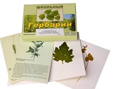 Гербарий "Систематика растений. Высшие споровые и семенные" (раздаточный) - fgospostavki.ru - Чита