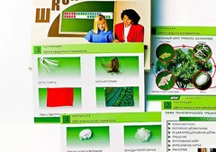 Коллекция "Шелк и продукты его переработки" (средняя школа) - fgospostavki.ru - Чита