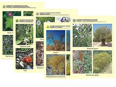 Гербарий фотографический по географии - fgospostavki.ru - Чита