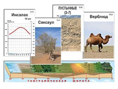 Модель-аппликация "Природные зоны" - fgospostavki.ru - Чита