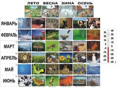 Фенологические наблюдения - fgospostavki.ru - Чита