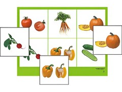 Логопедическое лото "Овощи" (4 планшета, 24 карточки, цветное, ламинированное) - fgospostavki.ru - Чита